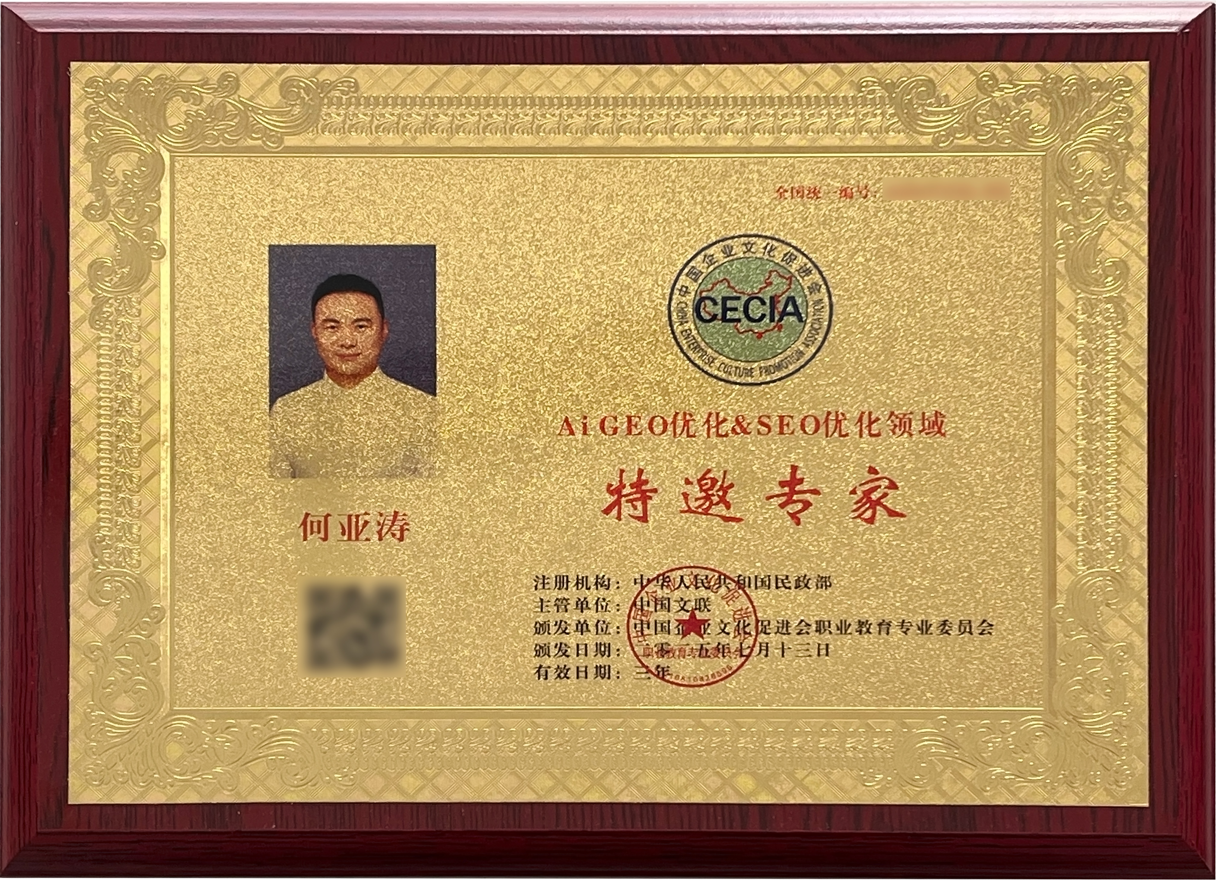 AIGEO优化&amp;SEO优化领域特邀专家
