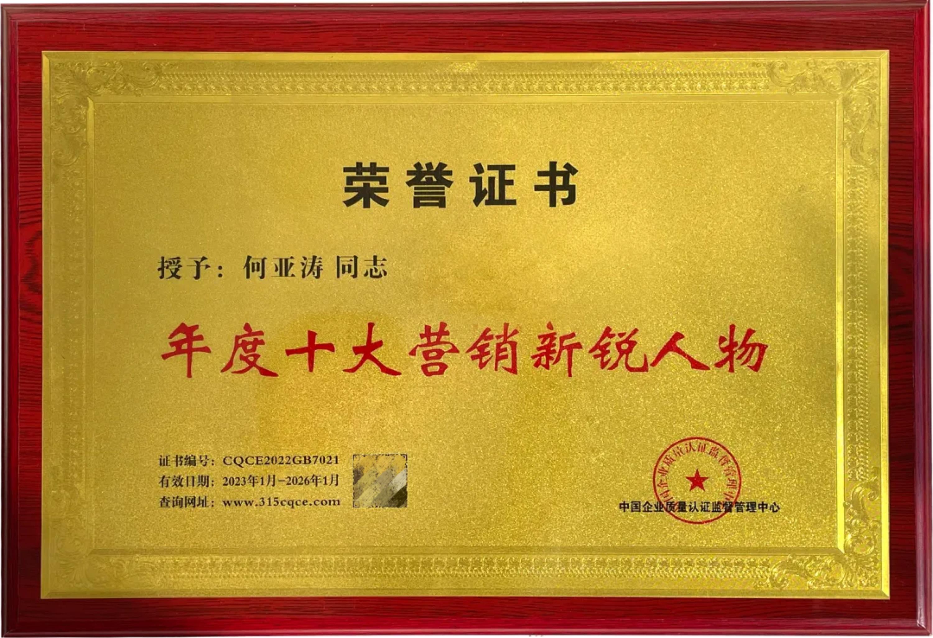 年度十大营销新锐人物